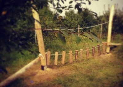 1937429_10153158852606494_7041416588808860513_n